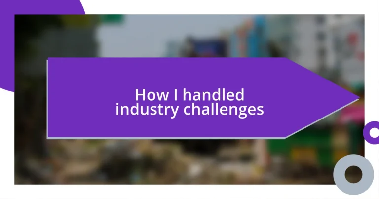 How I handled industry challenges