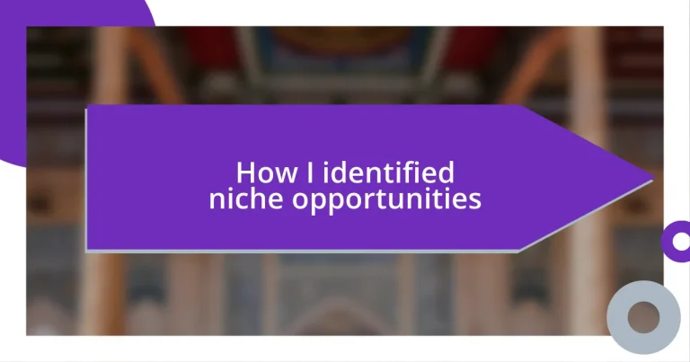 How I identified niche opportunities